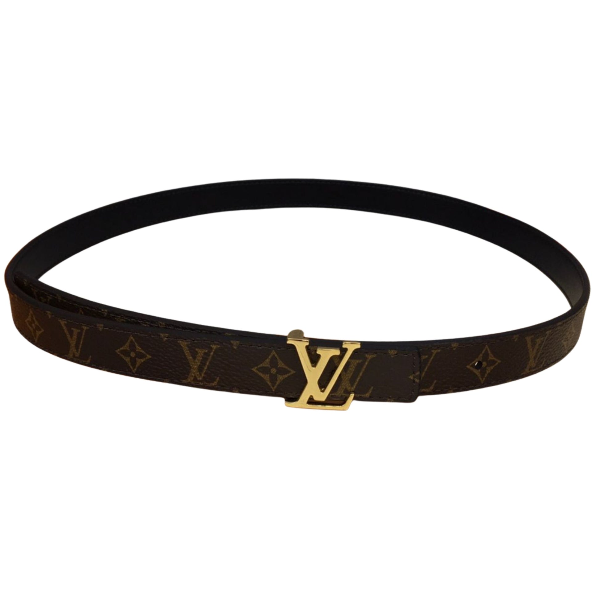 W BELT 71