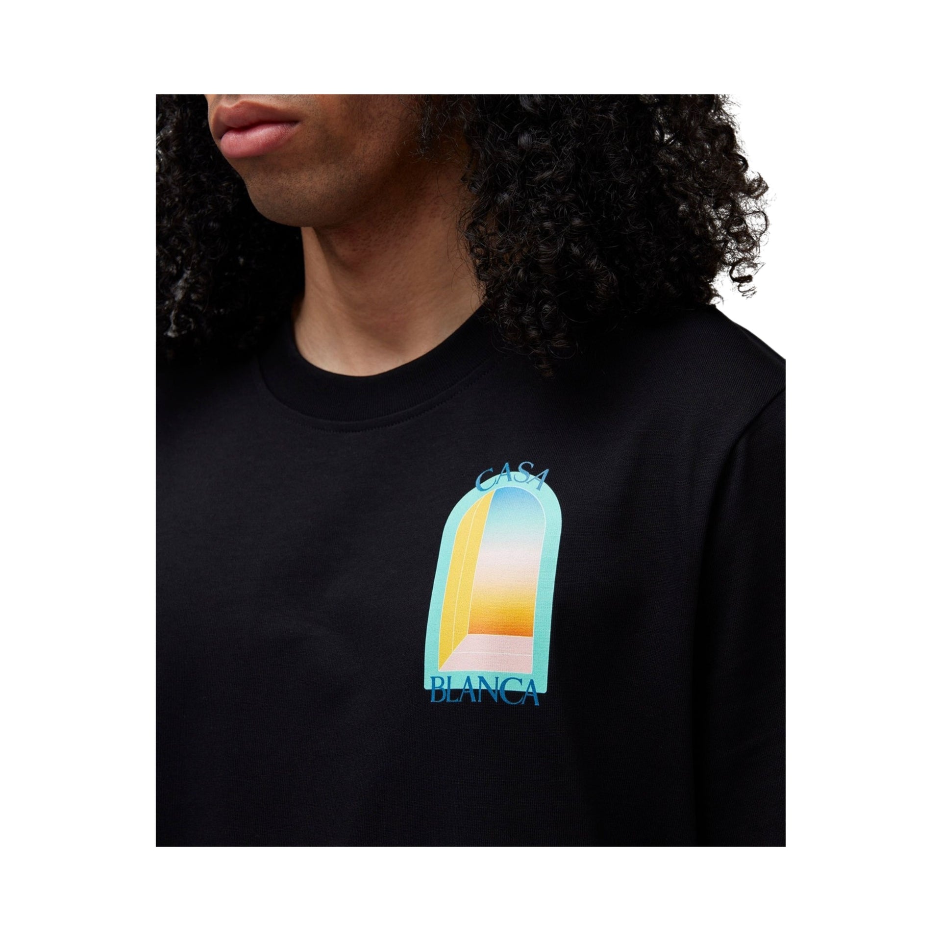M.T-Shirts CAS 1509