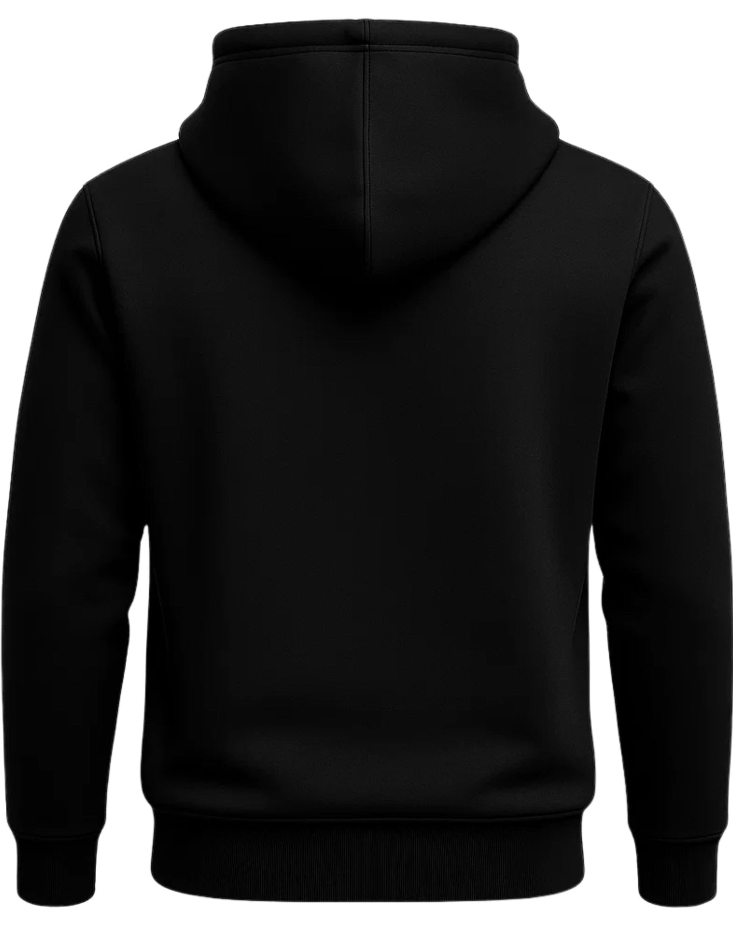 HOODIE PR 115