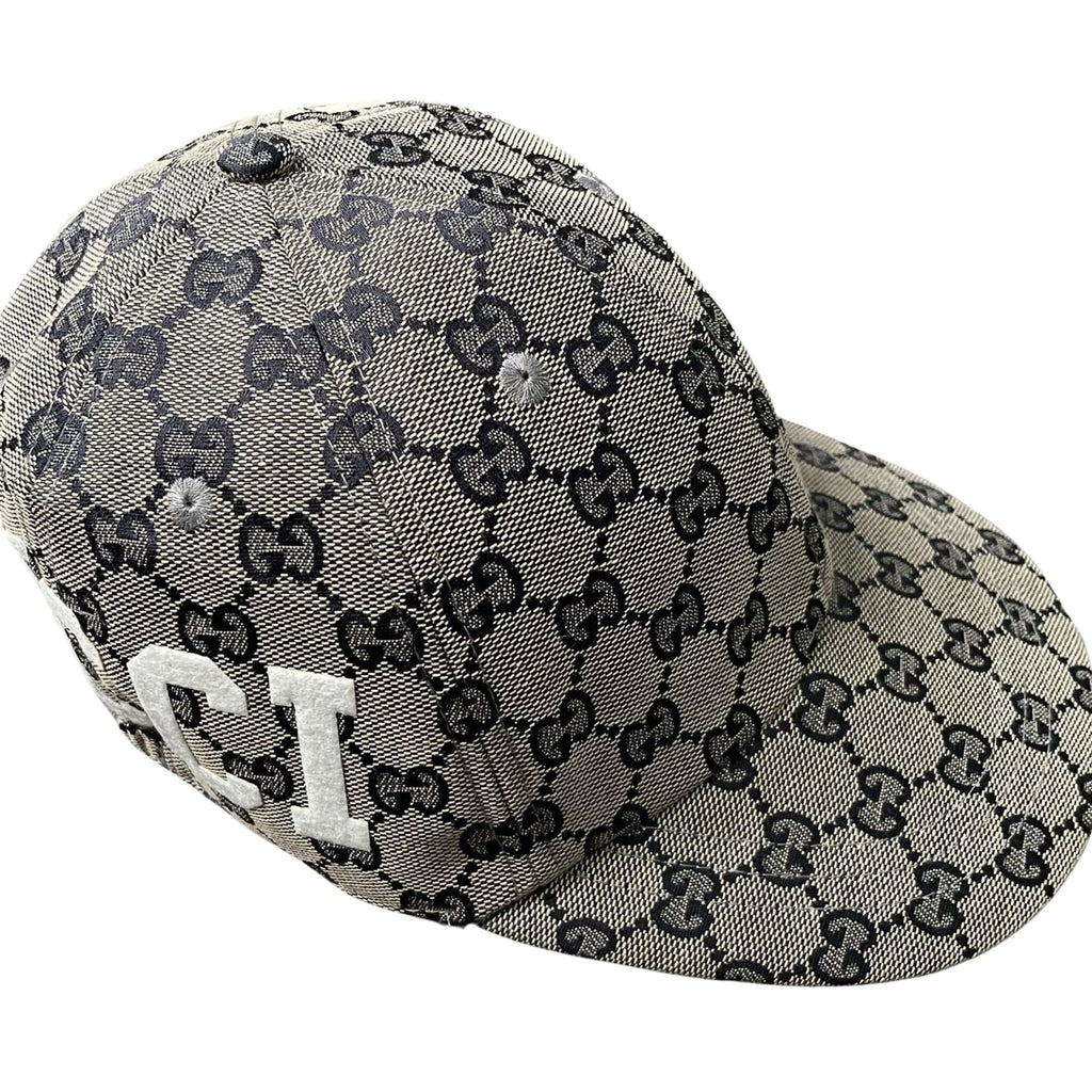 CAP 231